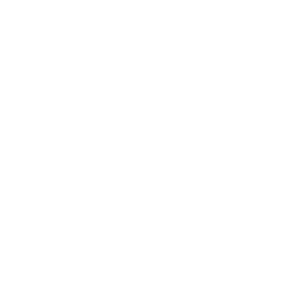 logo-lanze-300x282-bianco